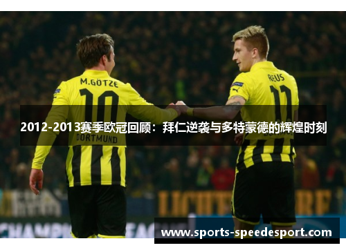 2012-2013赛季欧冠回顾：拜仁逆袭与多特蒙德的辉煌时刻