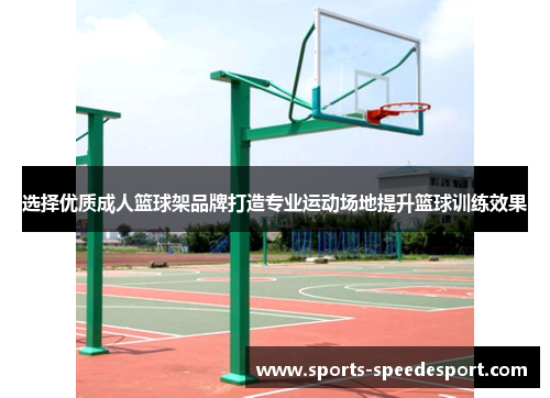 选择优质成人篮球架品牌打造专业运动场地提升篮球训练效果