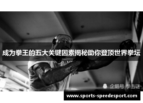 成为拳王的五大关键因素揭秘助你登顶世界拳坛