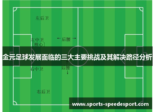 金元足球发展面临的三大主要挑战及其解决路径分析
