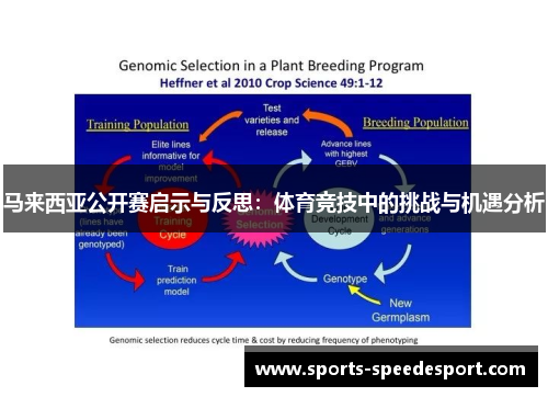 马来西亚公开赛启示与反思：体育竞技中的挑战与机遇分析